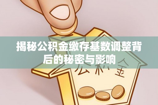 南岔揭秘公积金缴存基数调整背后的秘密与影响