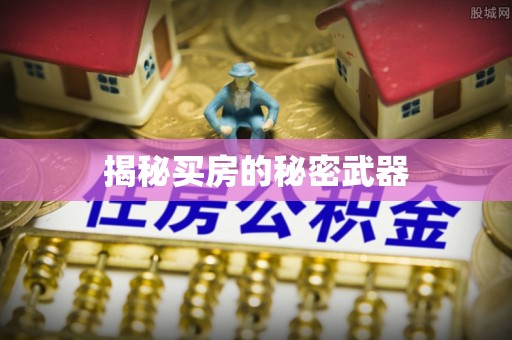 南岔揭秘买房的秘密武器